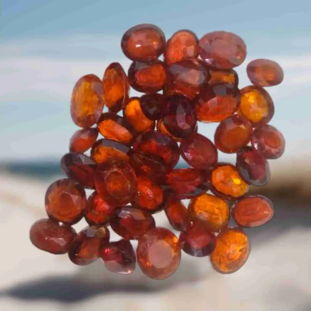 WhatsApp-Image-2024-01-05-at-12.50.56-PM1